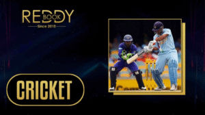 Since 2010: Trusted Cricket ID Platform with Real-Time Scores & Support